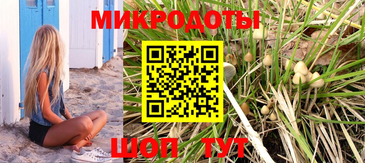 Галлюциногенные грибы Psilocybe  Вход с VPN  Реутов 